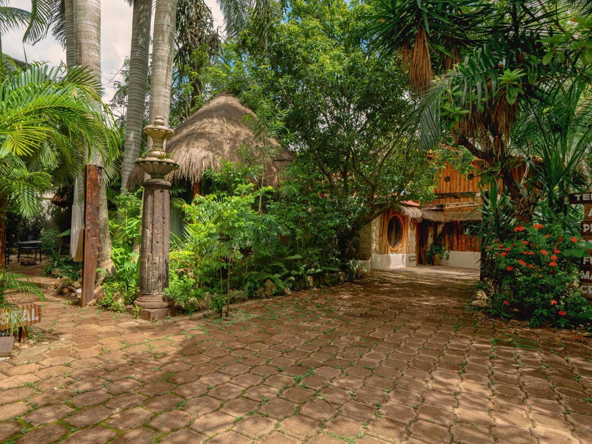 Oma Cancun - Holistic Healing Center Apartment Exterior photo